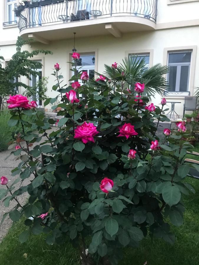 Aurelia Rooms Mostar Esterno foto