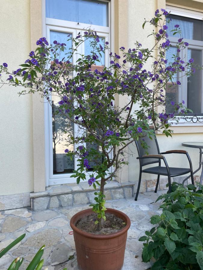 Aurelia Rooms Mostar Esterno foto